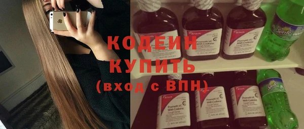 сатива Арсеньев