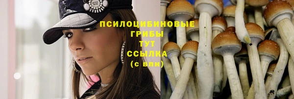 сатива Арсеньев