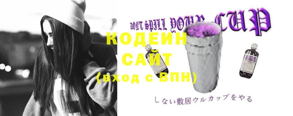 сатива Арсеньев