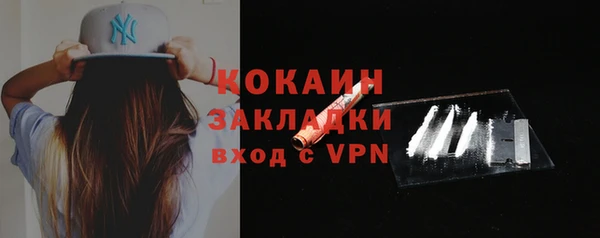 сатива Арсеньев
