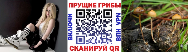 Псилоцибиновые грибы Magic Shrooms где купить наркоту Липки